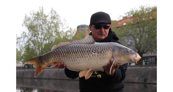 MIVARDI - Boilies Rapid Easy Catch Anglická Jahoda 16 mm 3,3 kg