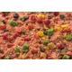 MIVARDI - Krmítková zmes R1 Carp 950 g Korenie