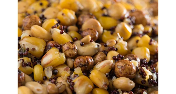 MIVARDI - Partikel Mix Premium 2,5 kg