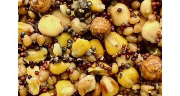 MIVARDI - Partikel Mix Premium 2,5 kg