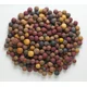 MIVARDI - Rapid Boilies Multi Mix 2,5 kg
