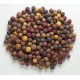 MIVARDI - Rapid Boilies Multi Mix 2,5 kg