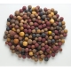 MIVARDI - Rapid Boilies Multi Mix 5 kg