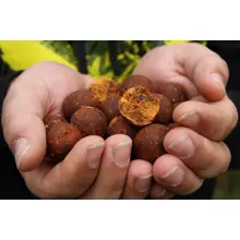MIVARDI - Rapid Boostered Boilies B17 24 mm 250 ml