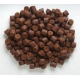 MIVARDI - Rapid pelety Extreme Spiced Protein 1 kg 16 mm