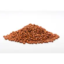 MIVARDI - Rapid pelety Extreme Spiced Protein 1 kg 4 mm