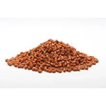 MIVARDI - Rapid pelety Extreme Spiced Protein 1 kg 4 mm