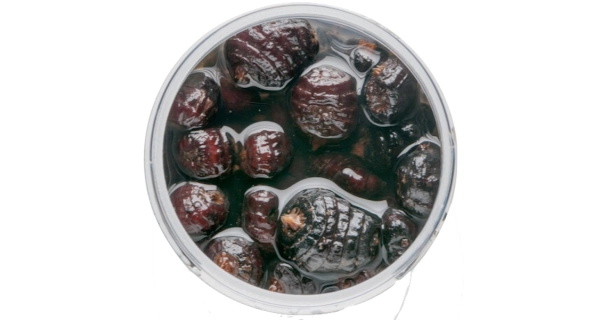 MIVARDI - Tigrie orech Jumbo Black 250 ml