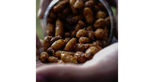 MUNCH BAITS - Partikel Jumbos in Cola 450ml