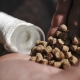 MUNCH BAITS - Pelety Cream Seed 4mm 1kg