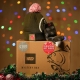 NASH - 100 € Vianočné Christmas Mystery Box