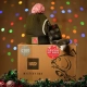 NASH - 100 € Vianočné Christmas Mystery Box