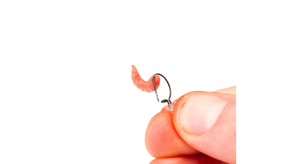 NASH - Klip na červy Maggot Screw Small 5 ks