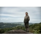 NASH - Mikina Zero Tolerance Wind Chill Hoody Two Tone Element veľ. M