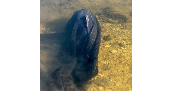 NASH - Náhradná sieťka Air Force Landing Net Mesh 46" Shallow