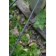 NASH - Olovo Super Flat Pear In-Line Lead 71 g