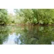 NASH - Podberák Scope OPS Sawn Off Retract Landing Net 42"