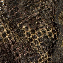 NASH - Sieť na podberák Spare 42" Net Mesh Camo