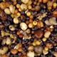 NASH - Zmes partiklov Small Seed Mix 500 ml