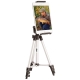 NGT - Selfie Tripod Set