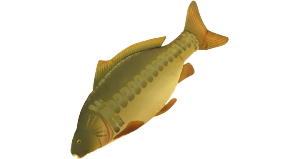 NGT - Vankúš kapor Pillow 70 cm