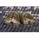 PRESTON - Feederové krmítko ICS In-Line Solid Pellet Feeder Medium 30 g