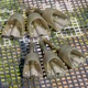 PRESTON - Feederové Krmítko ICS Inline Solid Pellet Feeder Small 45 g