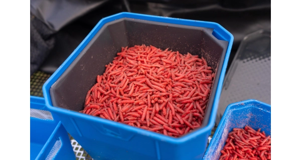 PRESTON - Krabička 4Pt Bait Tub