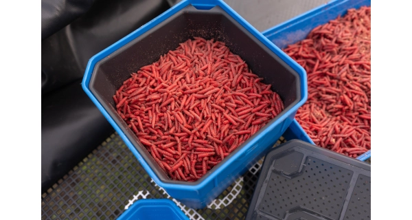 PRESTON - Krabička 4Pt Bait Tub