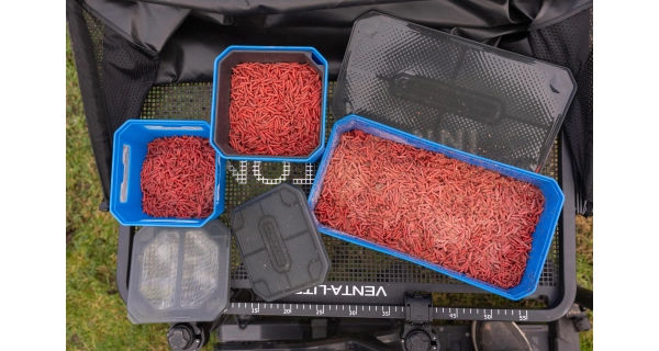 PRESTON - Krabička 4Pt Bait Tub