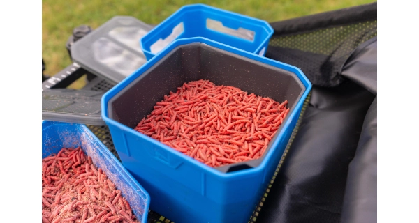 PRESTON - Krabička 4Pt Bait Tub