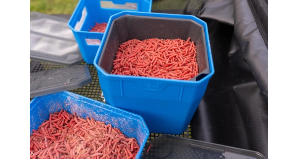 PRESTON - Krabička 4Pt Bait Tub