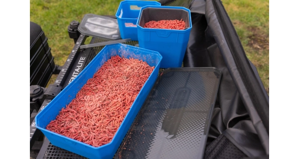 PRESTON - Krabička 4Pt Bait Tub