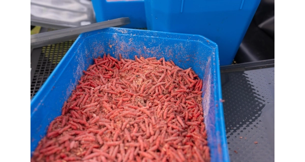 PRESTON - Krabička 6Pt Bait Tub