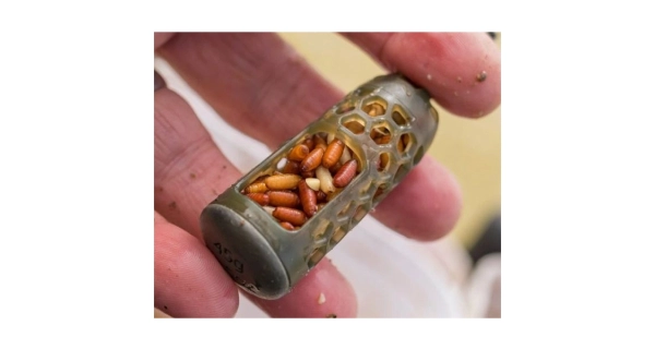 PRESTON - Kŕmidlo Absolute Window Feeder Caged Small 30 g