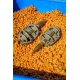 PRESTON - Krmítko ICS In-Line Dura Flat Method Large 75 g