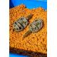 PRESTON - Krmítko ICS In-Line Dura Flat Method Medium 60 g