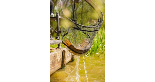 PRESTON - Podberáková hlava Carbon F1 Latex Landing Net 18" 45 cm