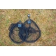 PRESTON - Podberáková hlava Carbon Match Landing Net 16&#39;&#39; 40 cm