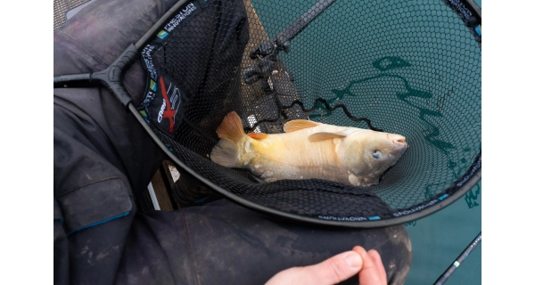 PRESTON - Podberáková hlava Carp XS Landing Net 24'' 60 cm