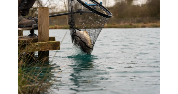 PRESTON - Podberáková hlava Carp XS Landing Net 24'' 60 cm