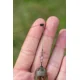 PRESTON - Záveska Feeder Links Soft Long 75 mm 3 ks