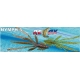 RELAX KOPYTA - Nymfa Nymph 5 Standard 14 cm 1 ks Priesvitná zelená