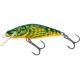 SALMO - Bullhead sinking - 6 cm hot bullhead