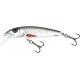 SALMO - Minnow floating - 5 cm dace