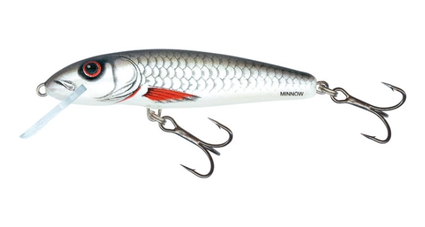 SALMO - Minnow floating - 5 cm dace