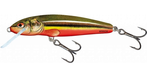 SALMO - Minnow Sinking 5 cm 5g Rainbow Dace