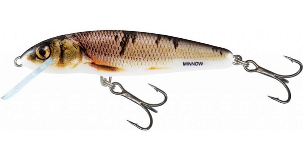 SALMO - Minnow Sinking 5 cm 5g Wounded Dace