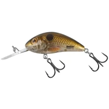 SALMO - New Rattlin’ Hornet Colours Rattlin' Hornet 5.5cm Clear Floating Pearl Shad