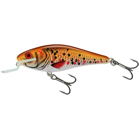 SALMO - Wobler Executor Shallow Runner 9 cm 14,5 g Holographic Golden Back